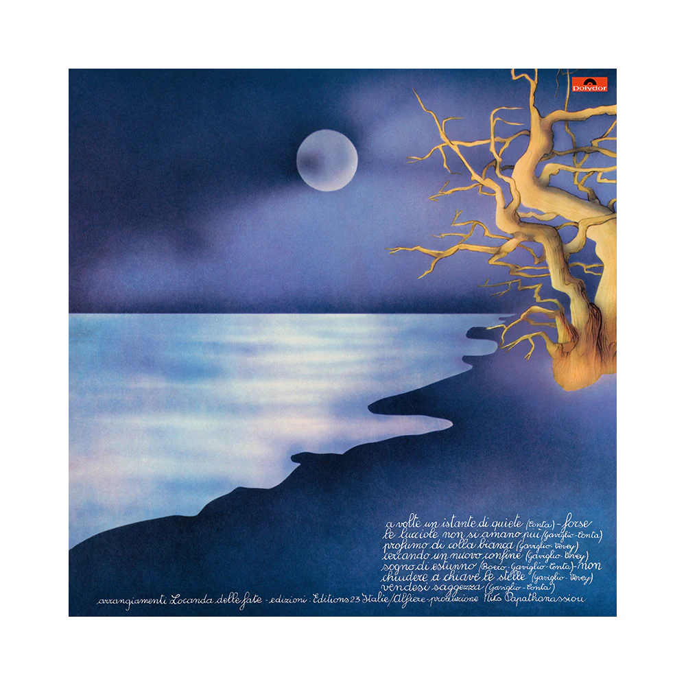 Forse Le Lucciole Non Si Amano Più | Vinile Colorato - Image 4