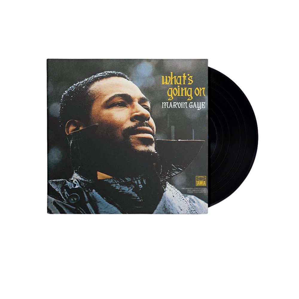 What’s Going On | Vinile