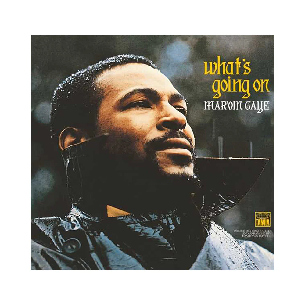 What’s Going On | Vinile - Image 2