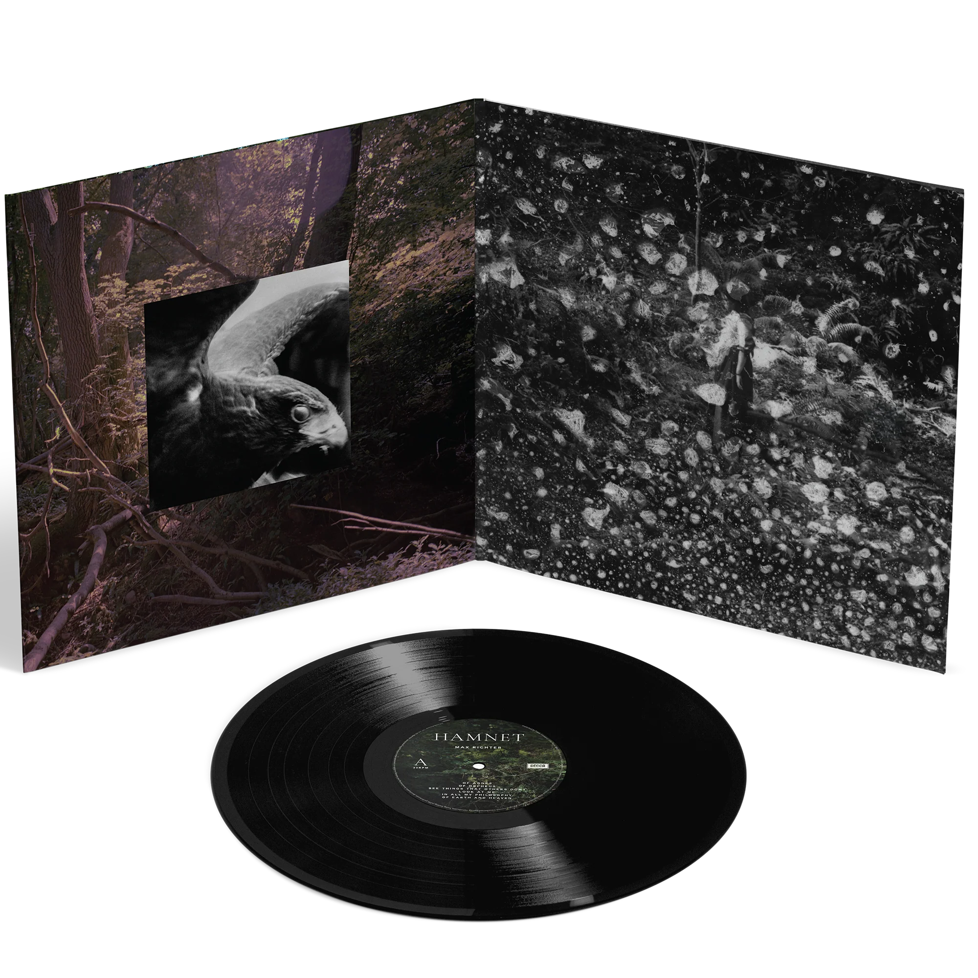 Hamnet | Doppio Vinile - Image 2