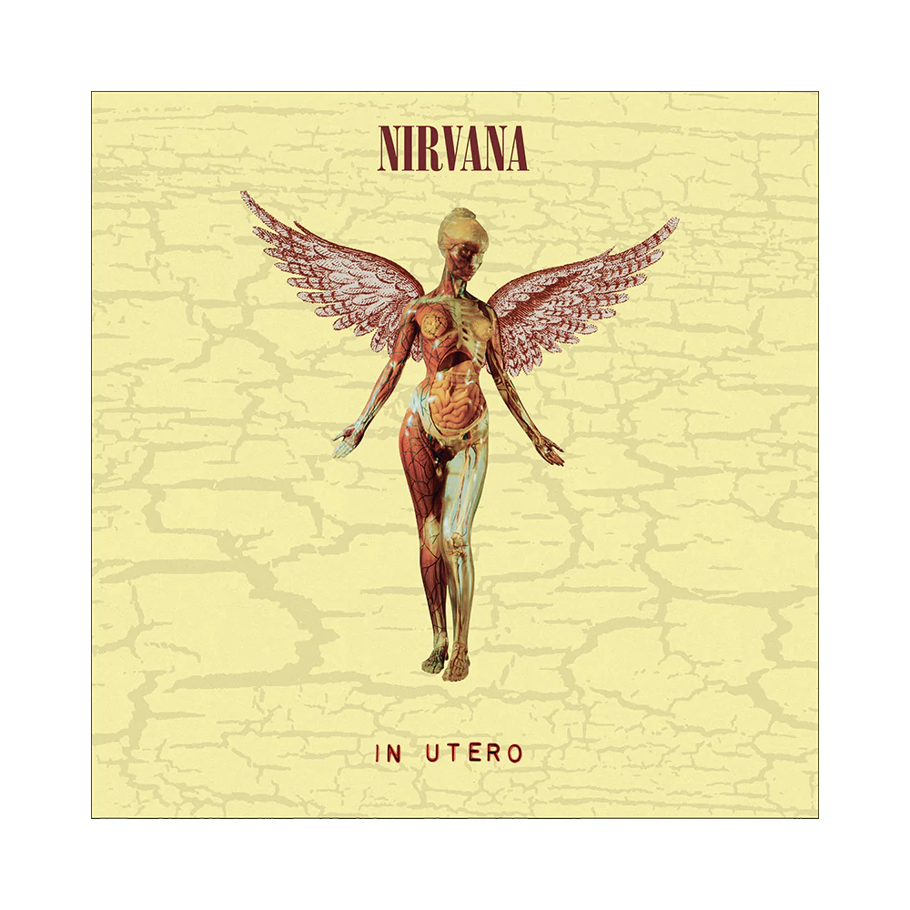 In Utero 30th Anniversary | Box 8 LP - Image 2