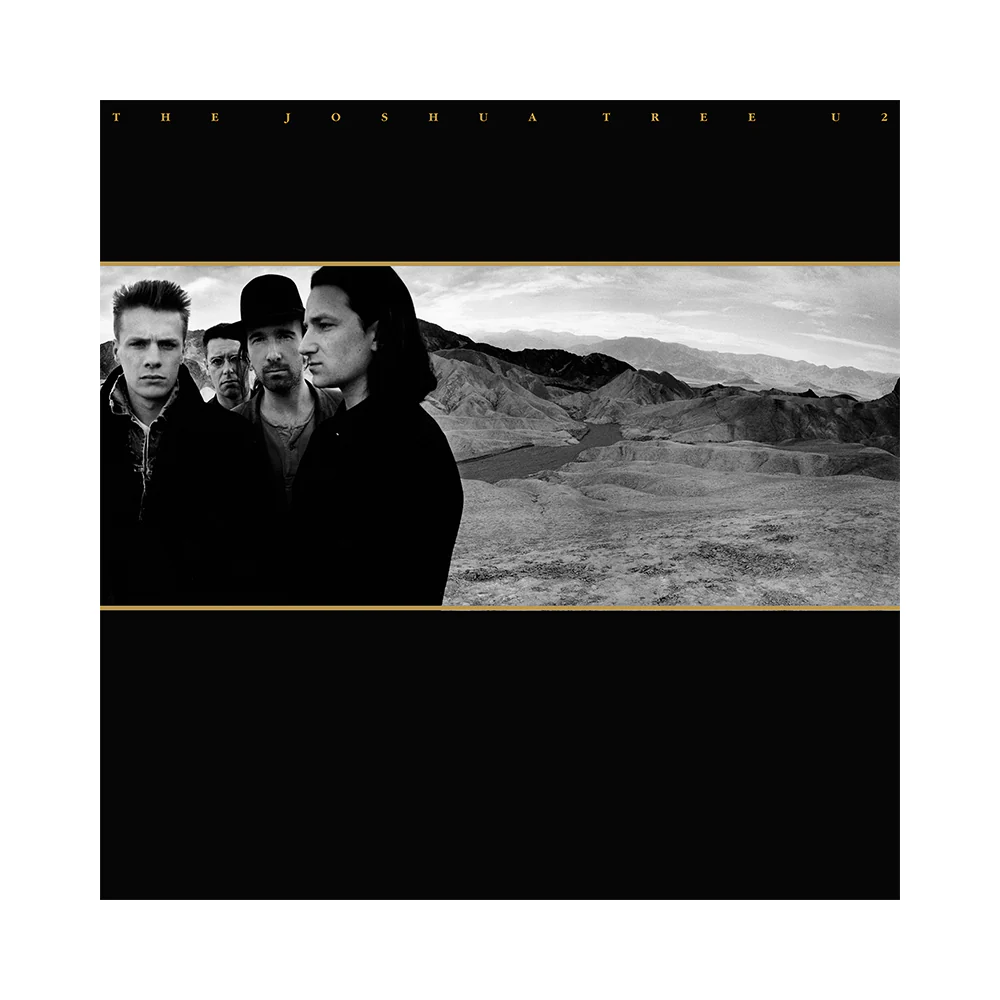 The Joshua Tree | Doppio Vinile - Image 2