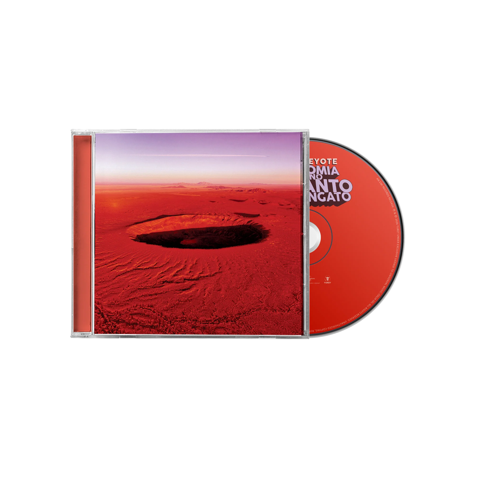 Anatomia di uno schianto prolungato | CD