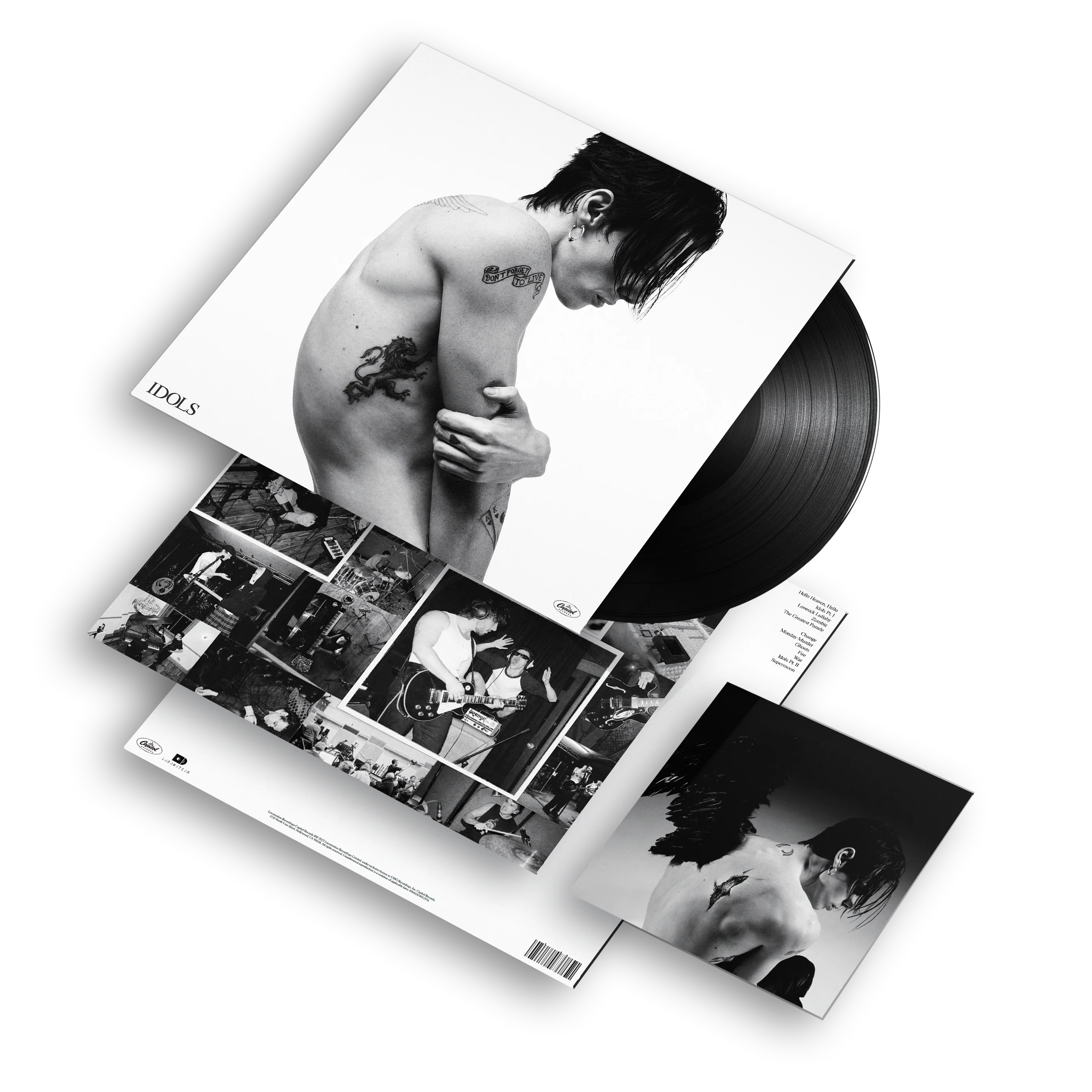 Idols | Vinile - Image 3