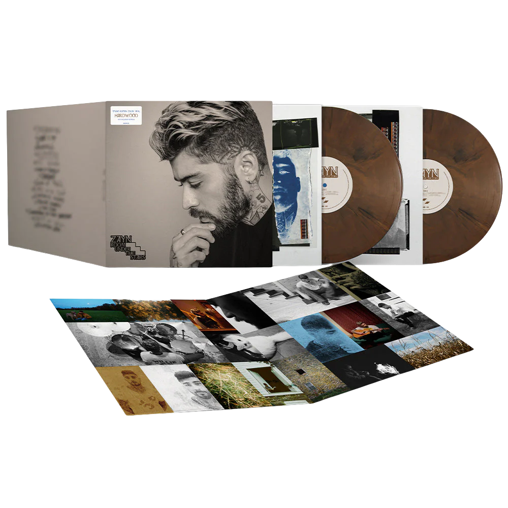 Room Under The Stairs | Doppio Vinile Esclusivo